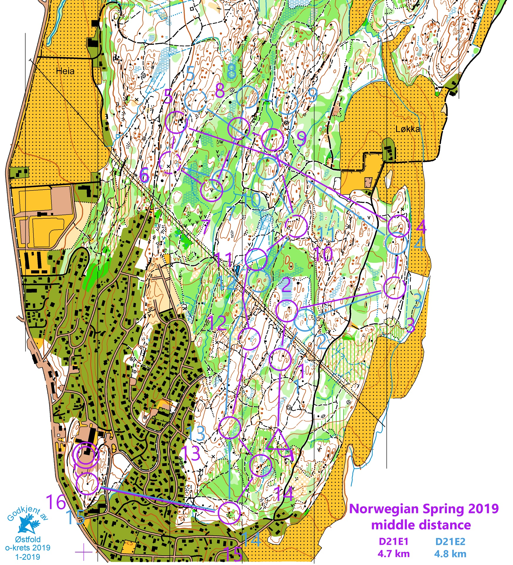 Norwegian Spring medeldistans (06.04.2019)