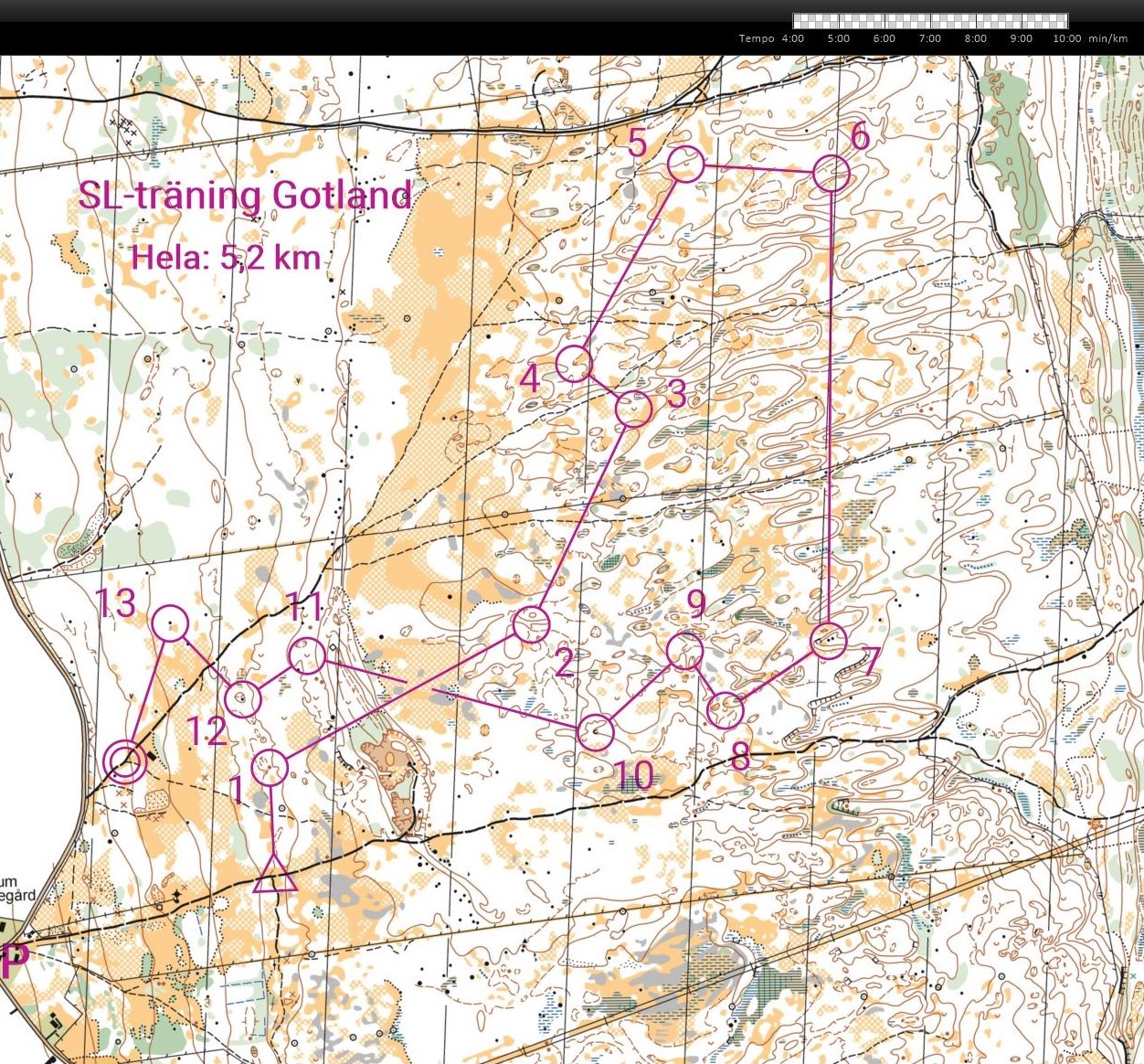 SL-träning Gotland (22-10-2021)