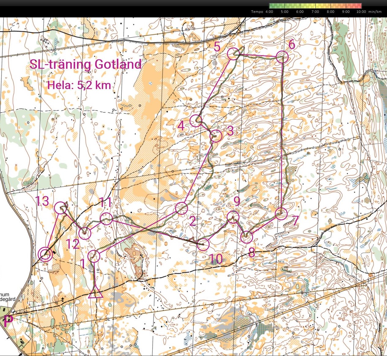 SL-träning Gotland (2021-10-22)