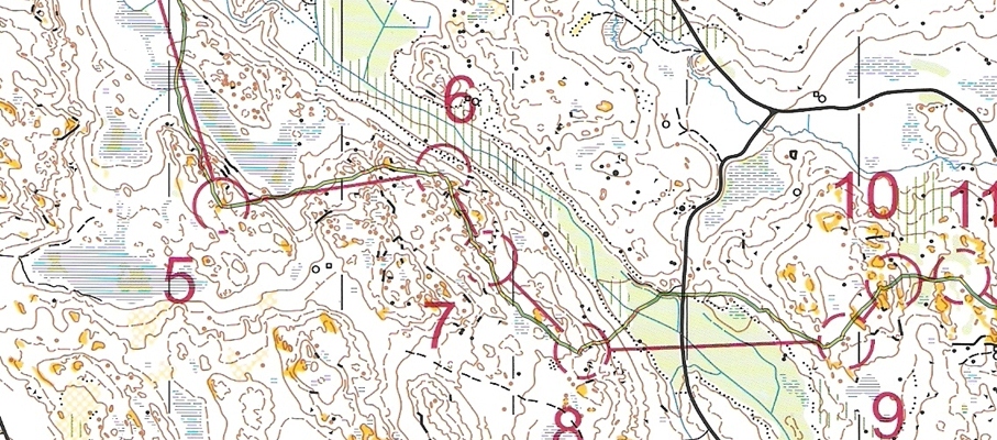 SM Medeldistans Final