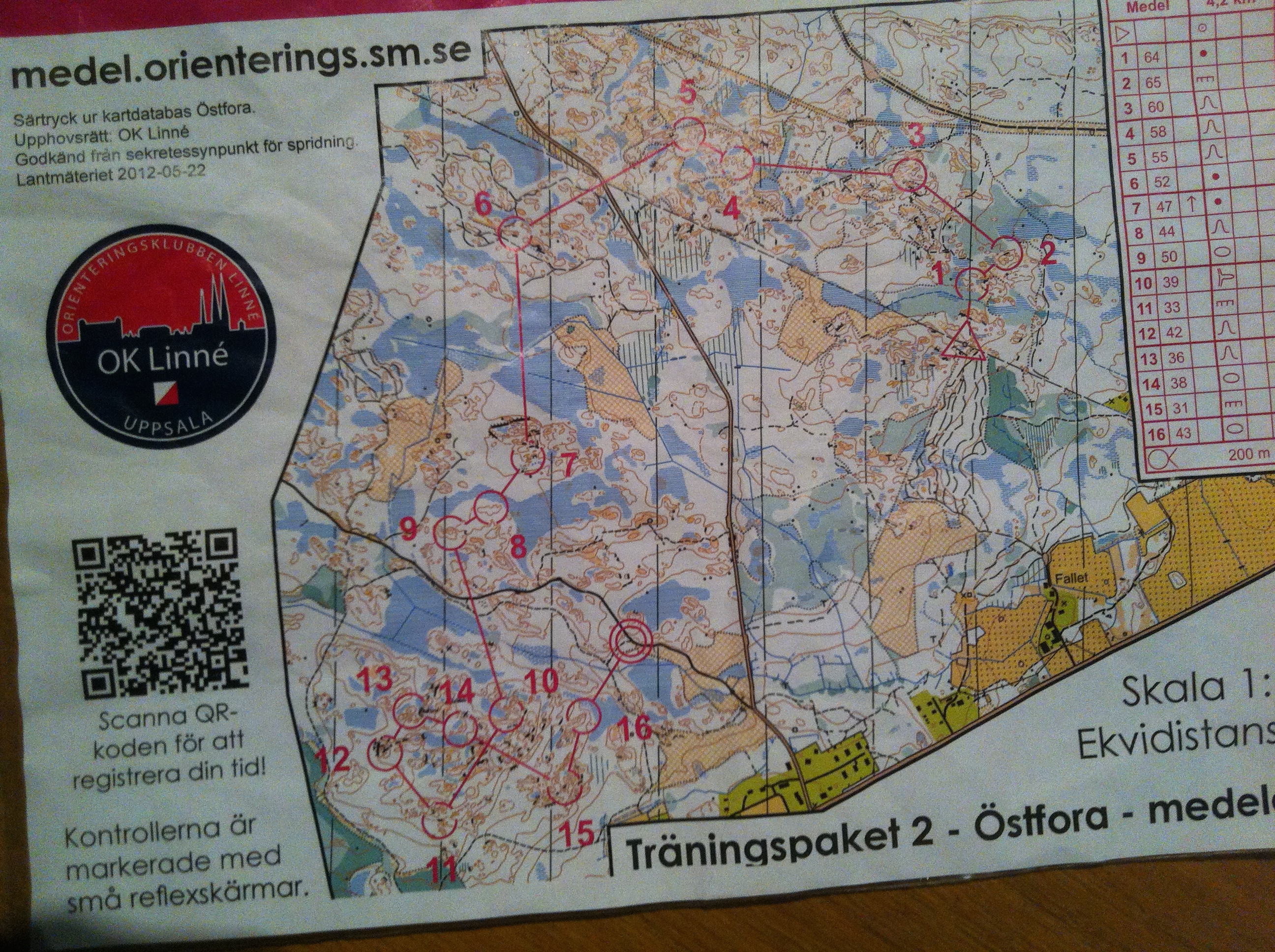 SM-medelträning (30-08-2014)