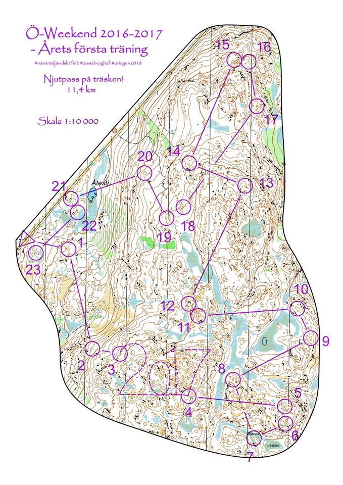 Dröm-OL på träsken (01-01-2017)