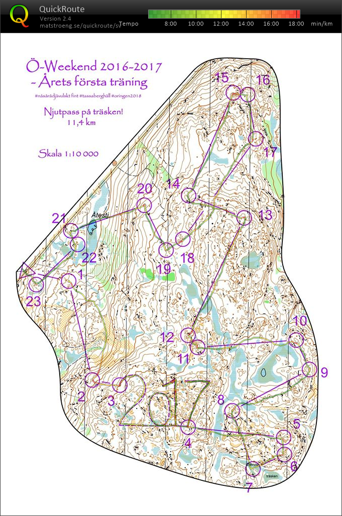 Dröm-OL på träsken (01-01-2017)