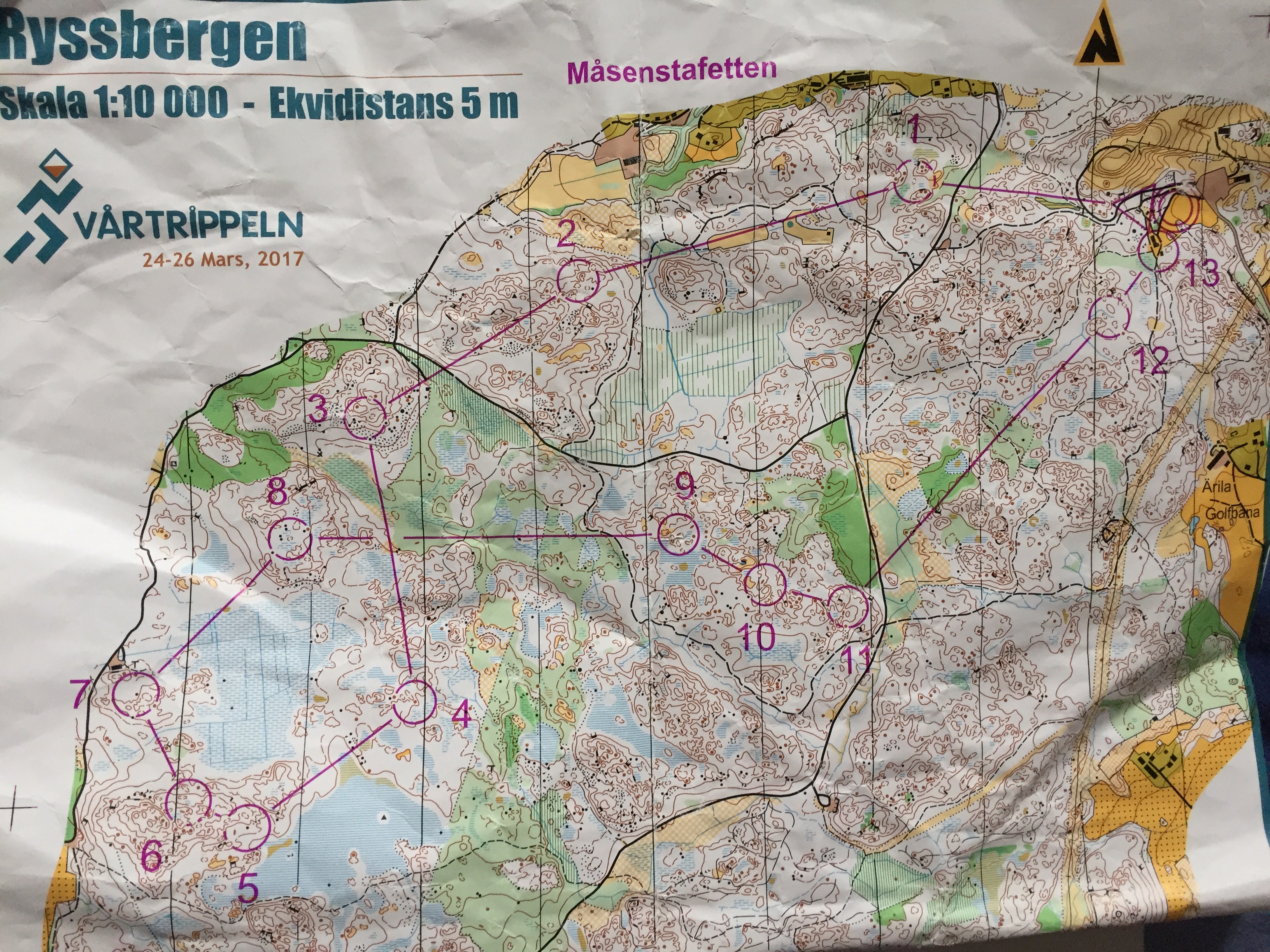 Måsenstafetten (26.03.2017)