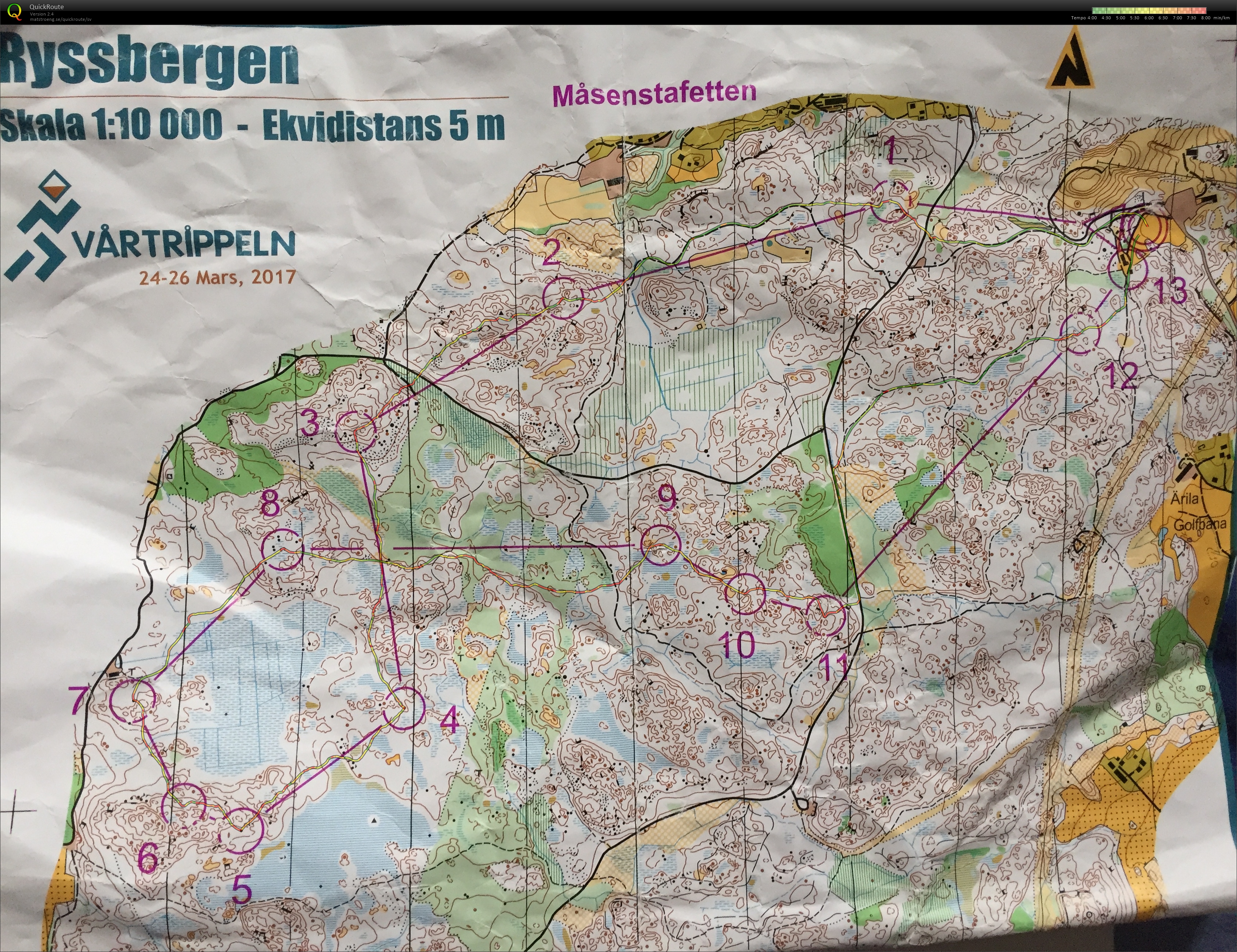 Måsenstafetten (26.03.2017)