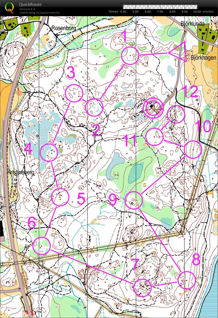 Nyårsmedel (01.01.2019)