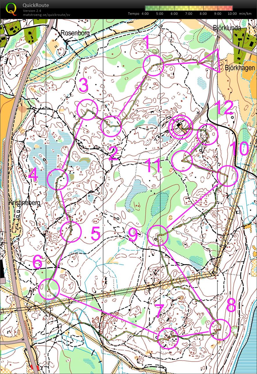 Nyårsmedel (01-01-2019)