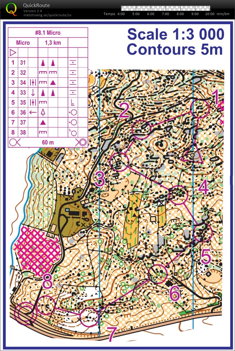 TL Madrid #8: Microsprint (10.02.2019)